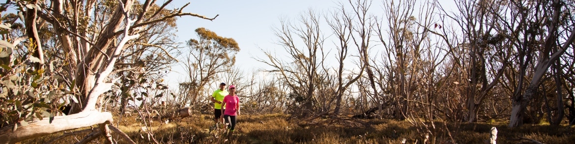 Dinner Plain, Village