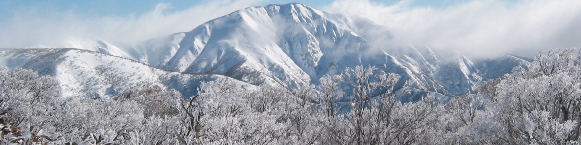 Nature-View-Winter-MtHotham-4x1 Dinner Plain, Mt Hotham