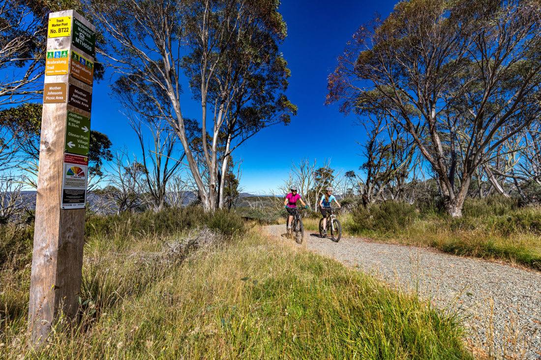 Brabraulung Hotham to Dinner Plain mountain bike trail