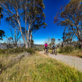 Brabraulung Hotham to Dinner Plain mountain bike trail