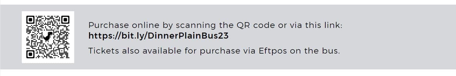 DP bus QR code 2023