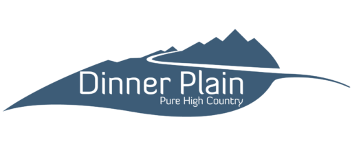 DP logo blue with white line Dinner Plain logo