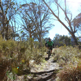 Kennys mountain bike trail at Dinner Plain