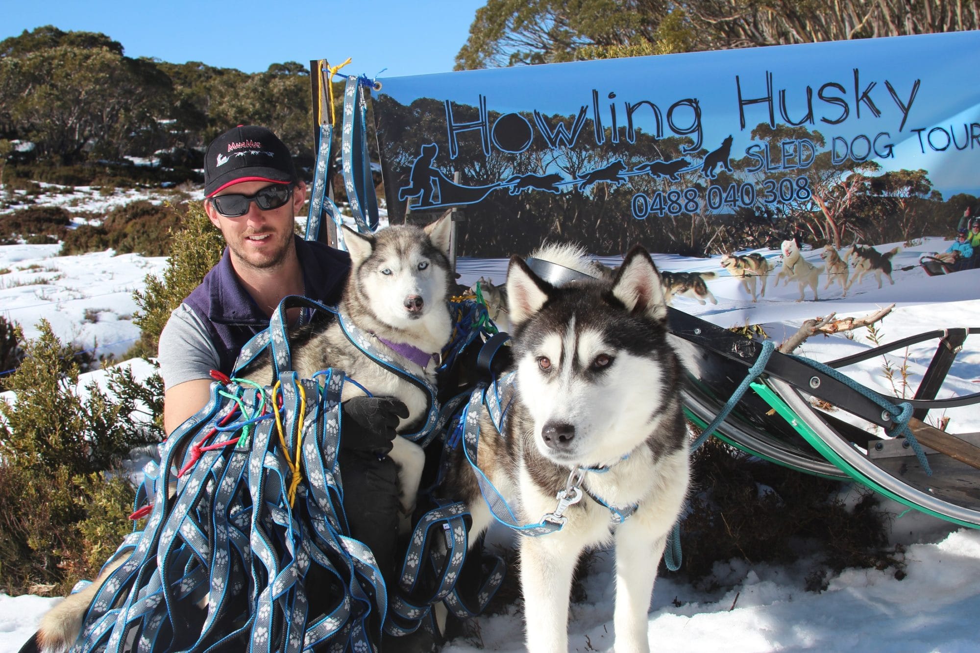 Dinner Plain husky Tours