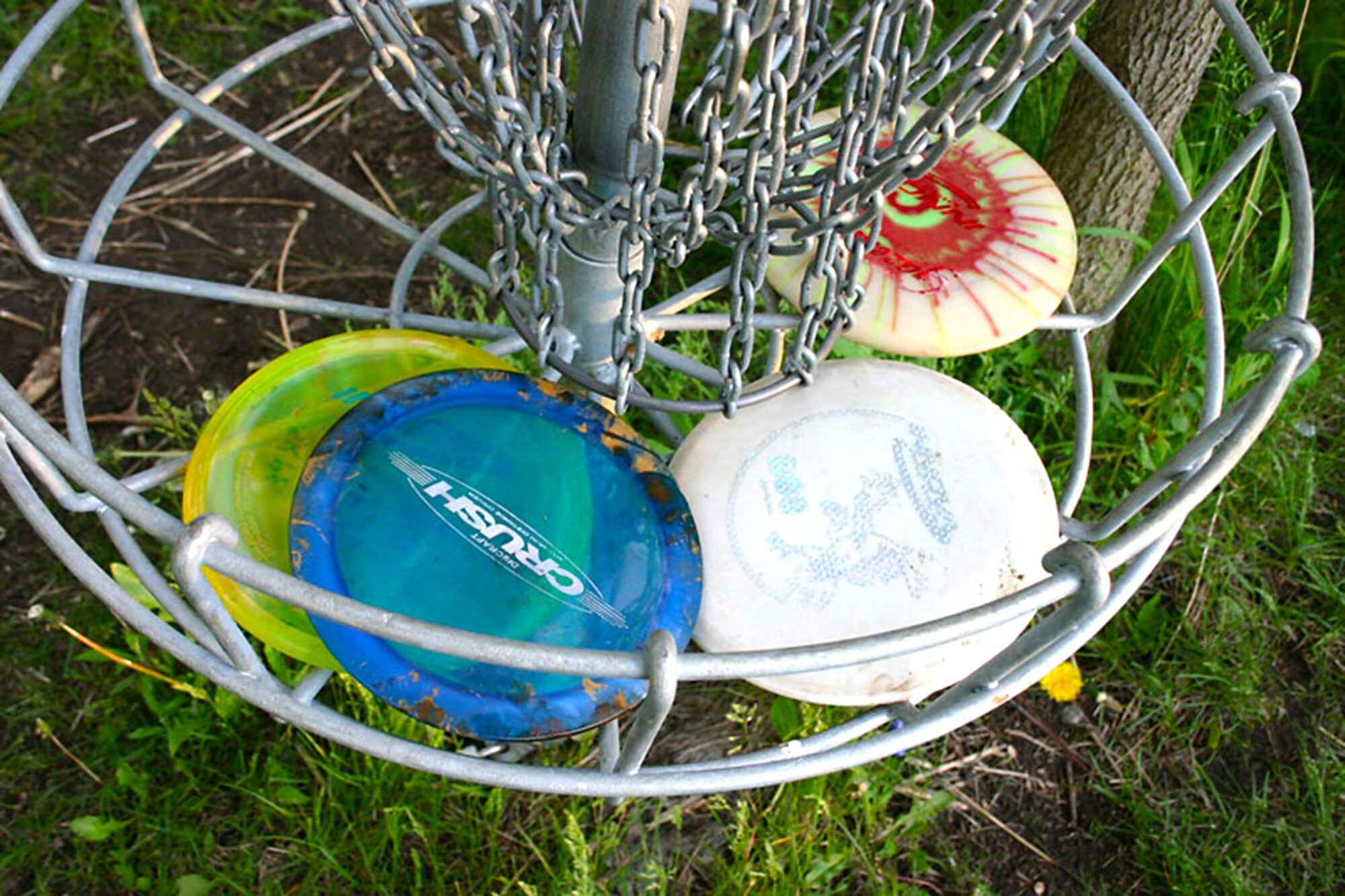 Disc Golf