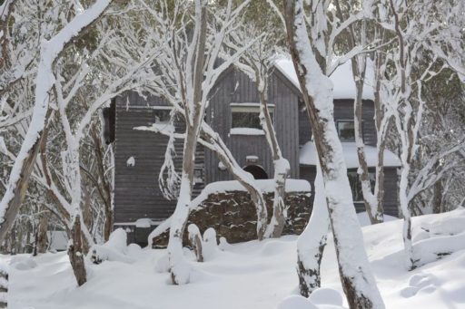 tyee house rental dinner plain