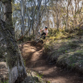 A rider on the Fergs mountain bike trail at Dinner Plain