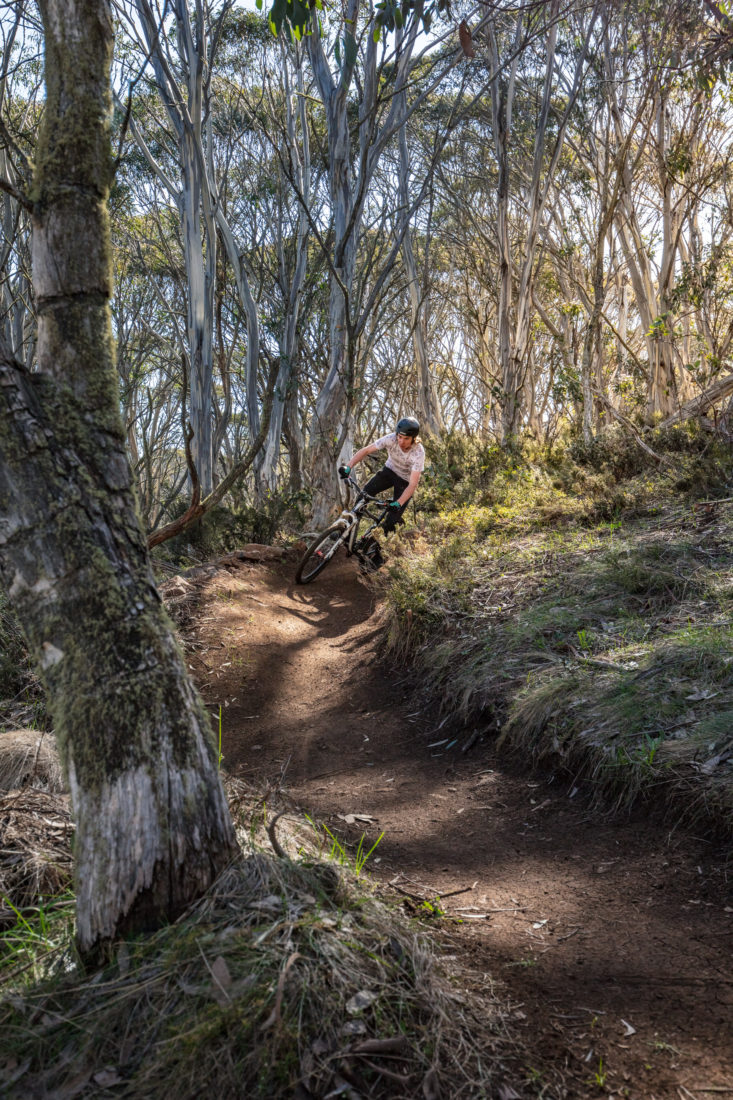 A rider on the Fergs mountain bike trail at Dinner Plain