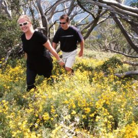 Montane Loop