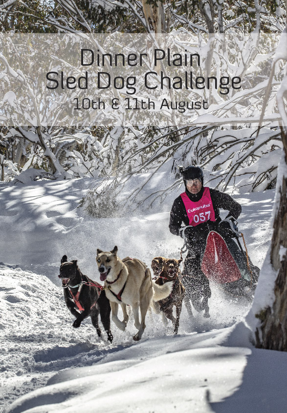Dinner Plain Sled Dog Challenge Dinner Plain Sled Dog Challenge