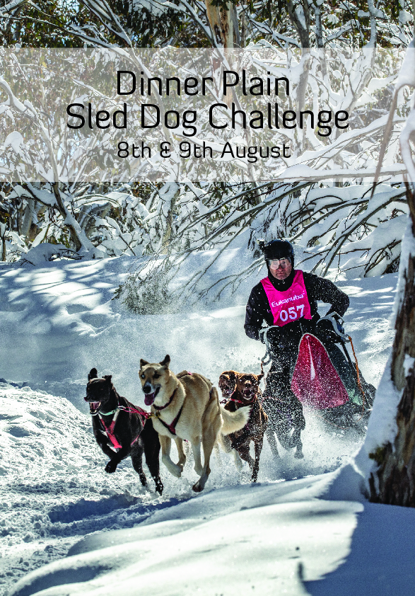 Dinner Plain Sled Dog Challenge Dinner Plain Sled Dog Challenge