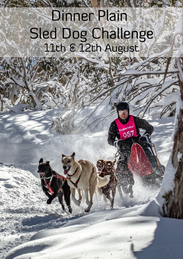 Sled Dog Challenge Sled Dog Challenge