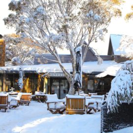 Rundells paddock in winter