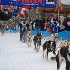 Altitude 5000 - Dinner Plain Sled Dog Challenge Altitude 5000 - Dinner Plain Sleddog Challenge